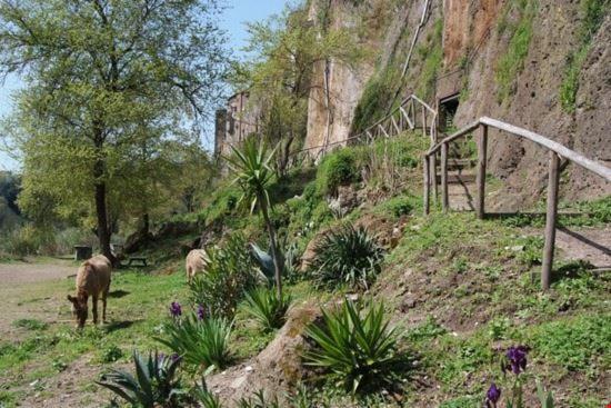 Casa Lale Daire Corchiano Dış mekan fotoğraf